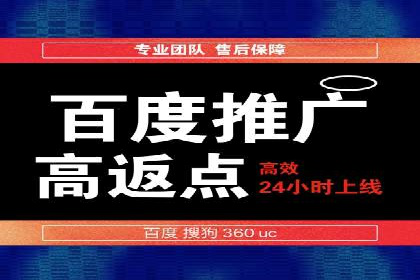 百度竞价运营策略：成功案例解析